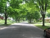 neighborhood of Hill Farms homes