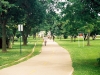 busy-bike-path