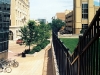 railing-and-shadow-2