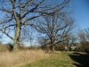 2011_1202ae-small