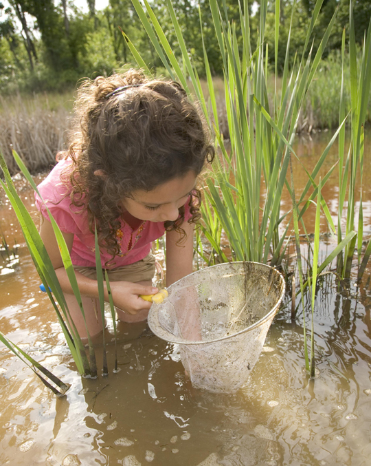 child-standing-in-water Children love Wisconsin Nature