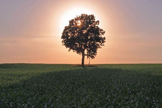 Wisconsin5 Wisconsin Real Estate Something for Every Lifestyle