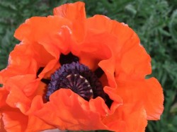 Stoughton parks and trails let you enjoy nature