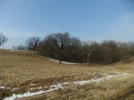 Green County Land