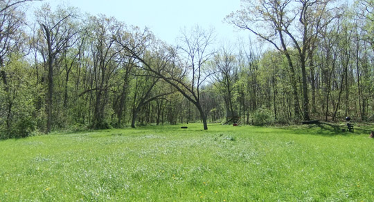 Green County Land for Sale, Town of Brooklyn