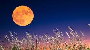 Harvest Moon in Wisconsin